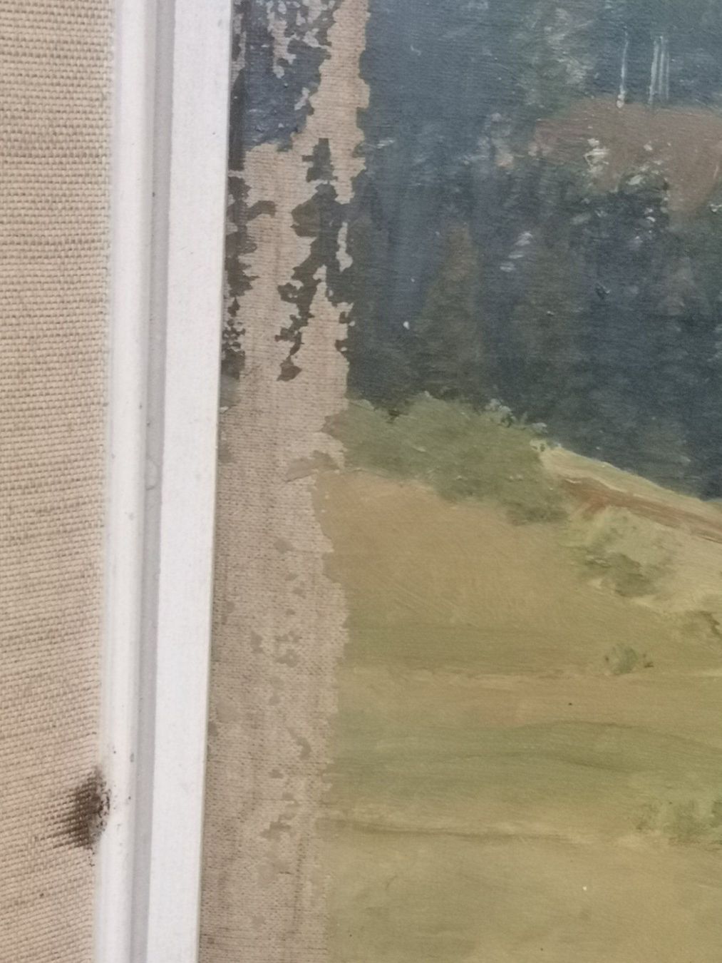 Dipinti: HUILE SUR TOILE SIGNÉE AUGSBURGER – Usato da Genève venduto da Qanil77 2