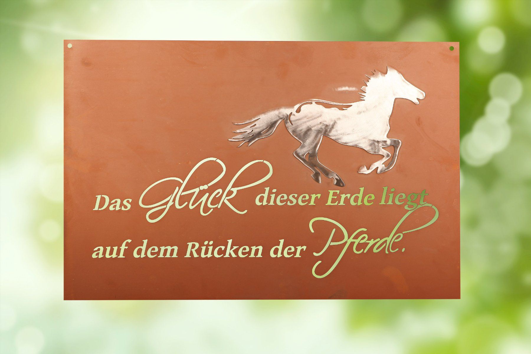 Poster & Bilder: Pferdespruch in Edelrost – Neu (gemäss Beschreibung) aus Gerlafingen von ofenhaus_linder