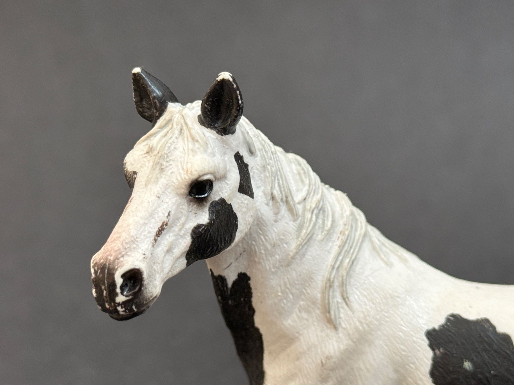 Schleich Statuette: Schleich 13696 Pinto Stute Pferd – Usato da Ennetbaden venduto da mapa05 2