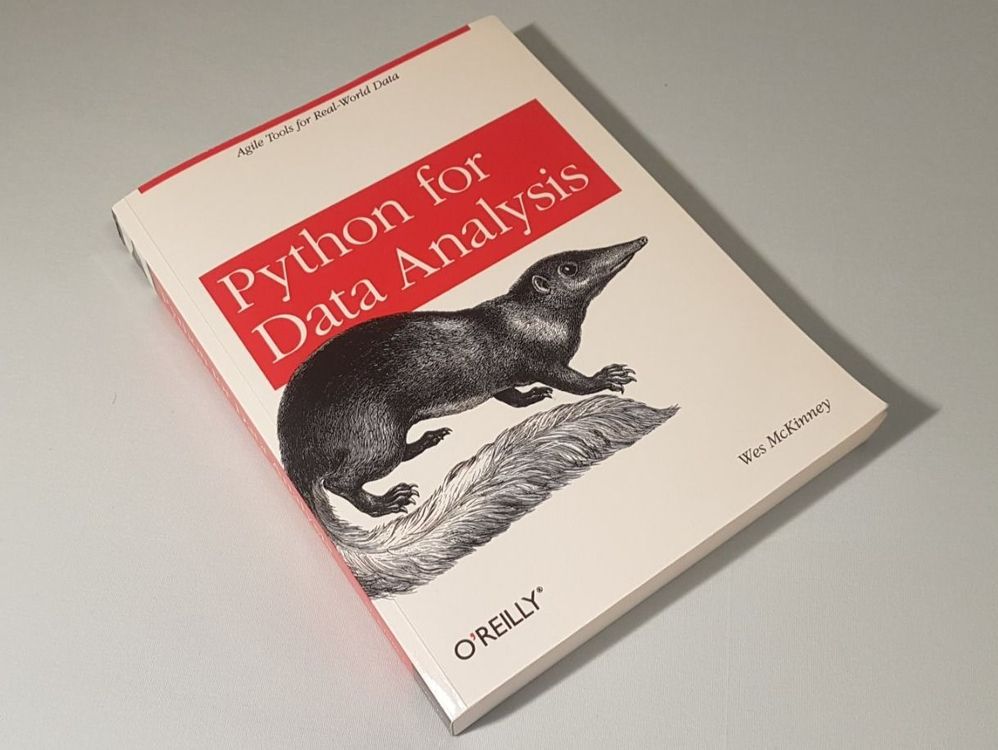 Python for Data Analysis - Wes McKinney - O'Reilly | Kaufen auf Ricardo