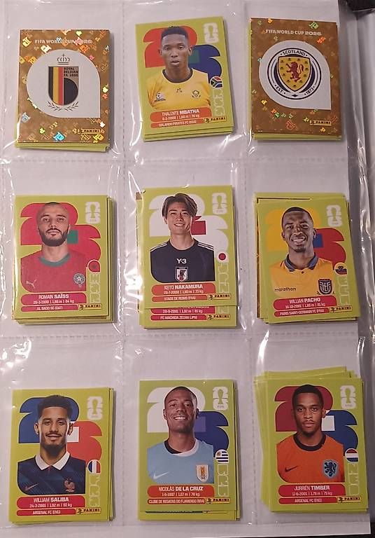 Panini Carte collezionabili: Panini Sticker WM 2026 - 300 Stk. – Nuovo (secondo la descrizione) da Henggart venduto da Alisha_2010 2