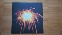 CANT - Dreams Come True (Vinyl)