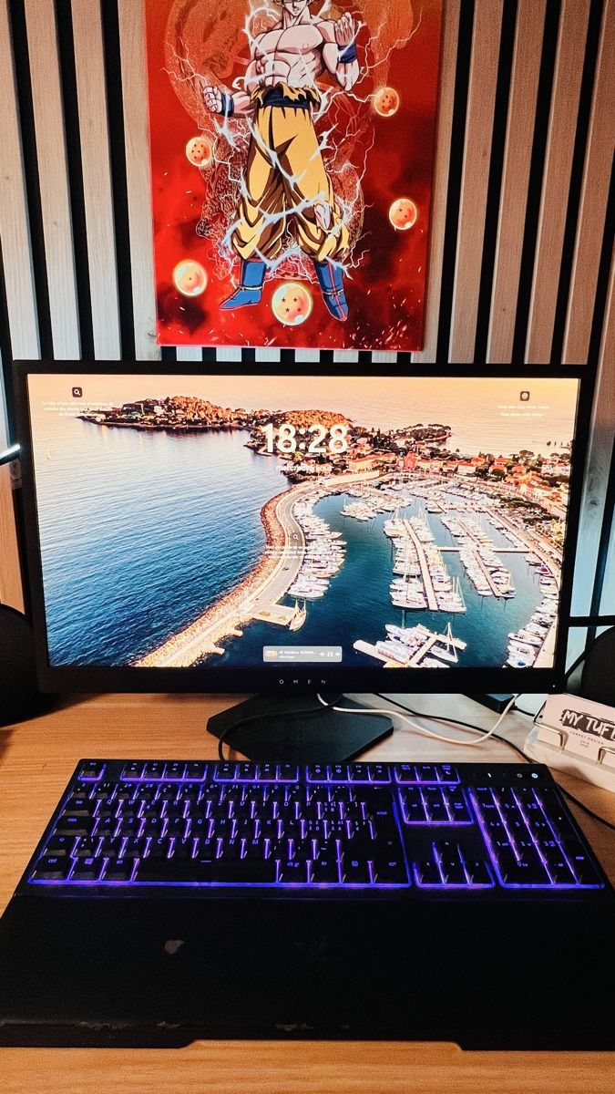Monitor: Moniteur gaming HP Omen 25 bon état – Usato da Cointrin venduto da 3bdn28