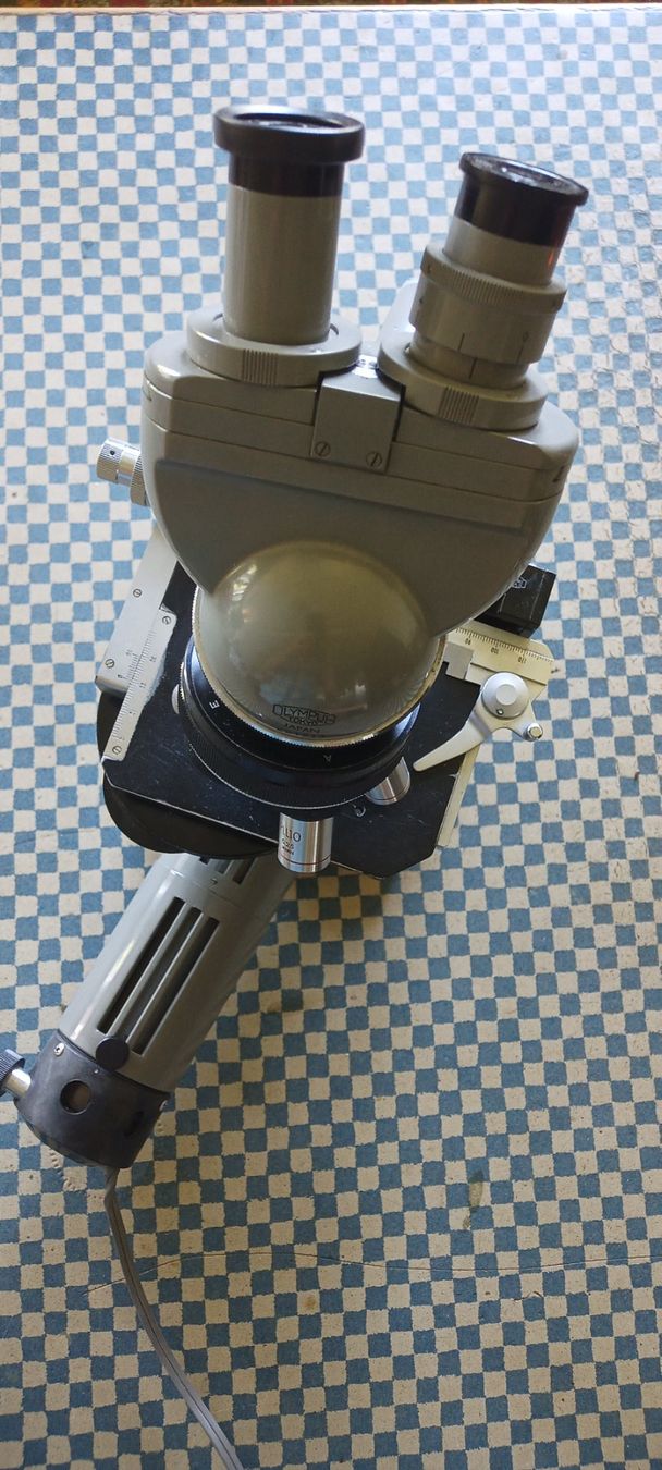 Olympus Microscopi: Mikroskop Olympus made in Japan – Usato da Gossau ZH venduto da Ooosssaaa