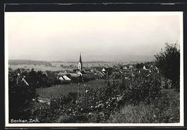 Benken, Ortspanorama mit Blick ins Land