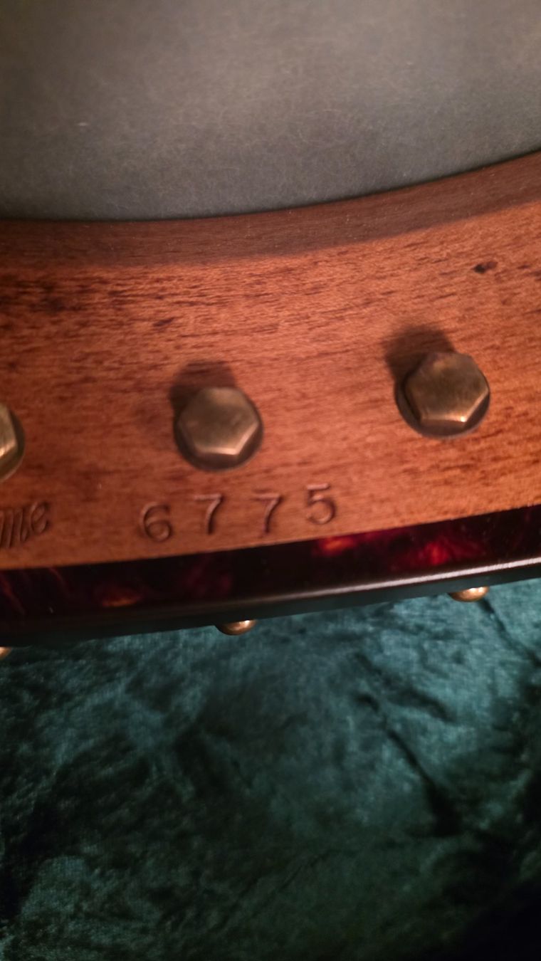Strumenti musicali: OME Banjo Wizard – Usato da Zürich venduto da CityRover 4
