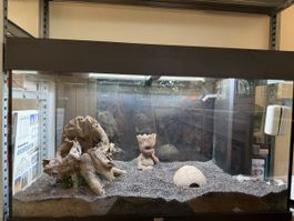 Aquarium 