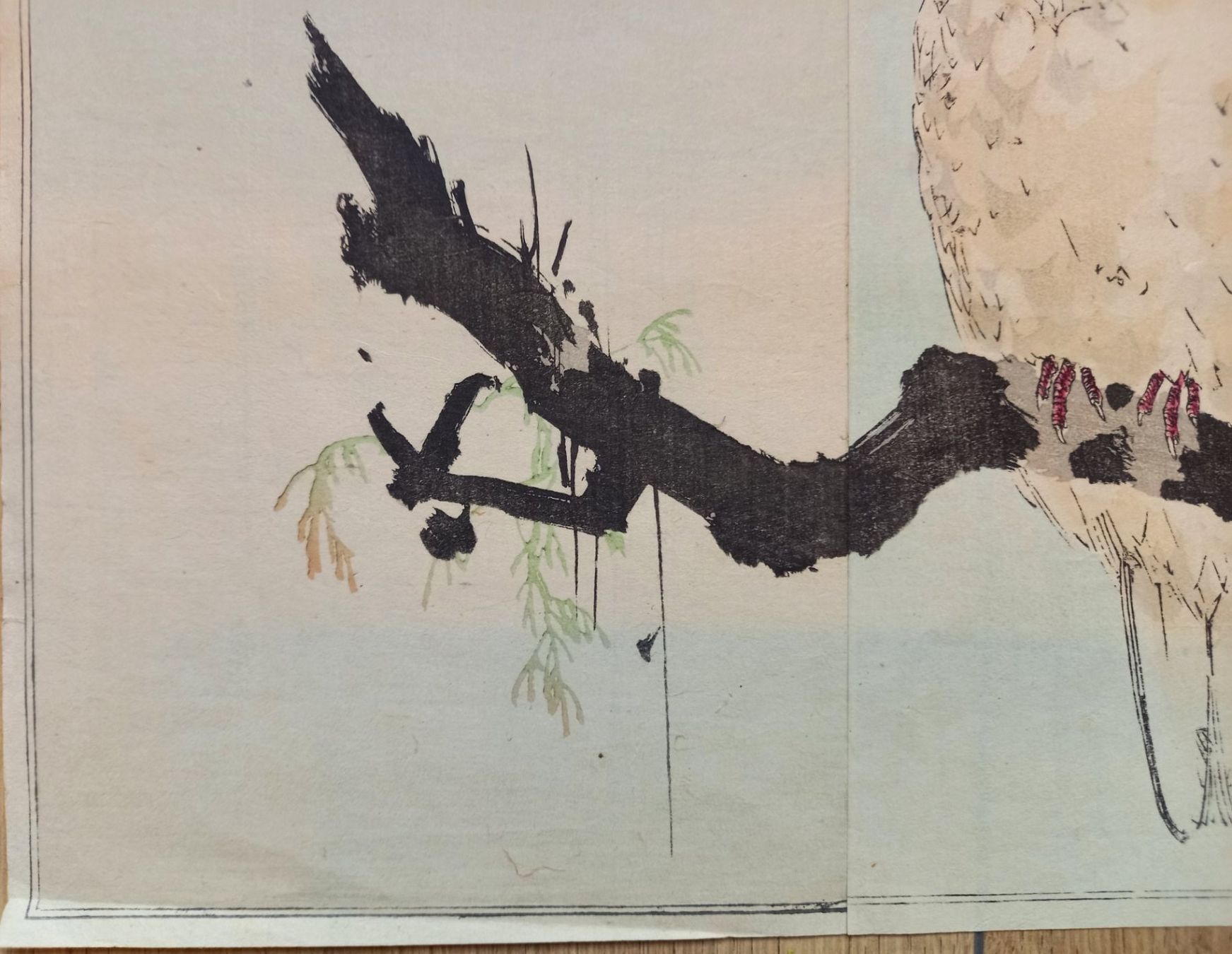 Grafica & Litografie: belle estampe oiseau sur sa branche – Usato da Lausanne venduto da leneko 3