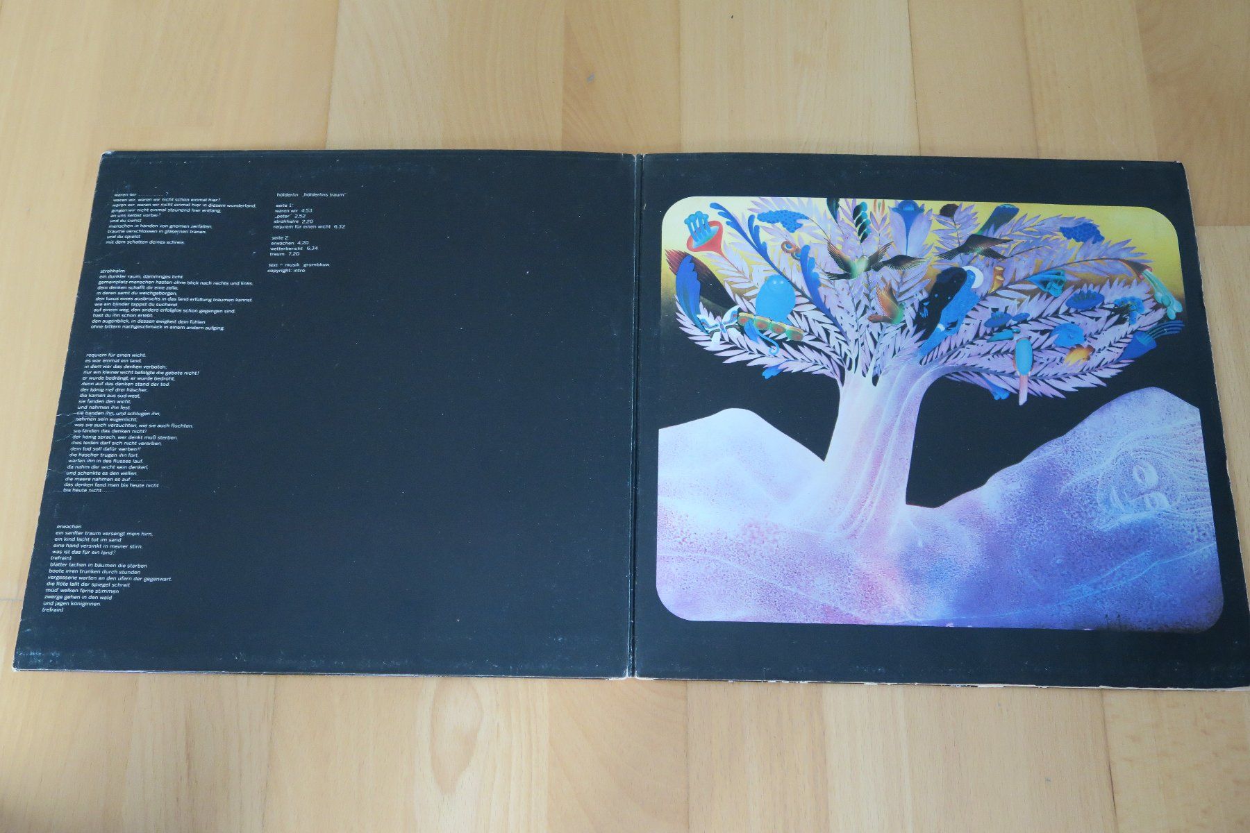 Dischi in vinile: Hölderlin – Hölderlins Traum – Usato da Thun venduto da Karibu70 1