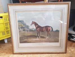 antik Stich Farb Aquatinta John Ferneley 1823 Edward Duncan