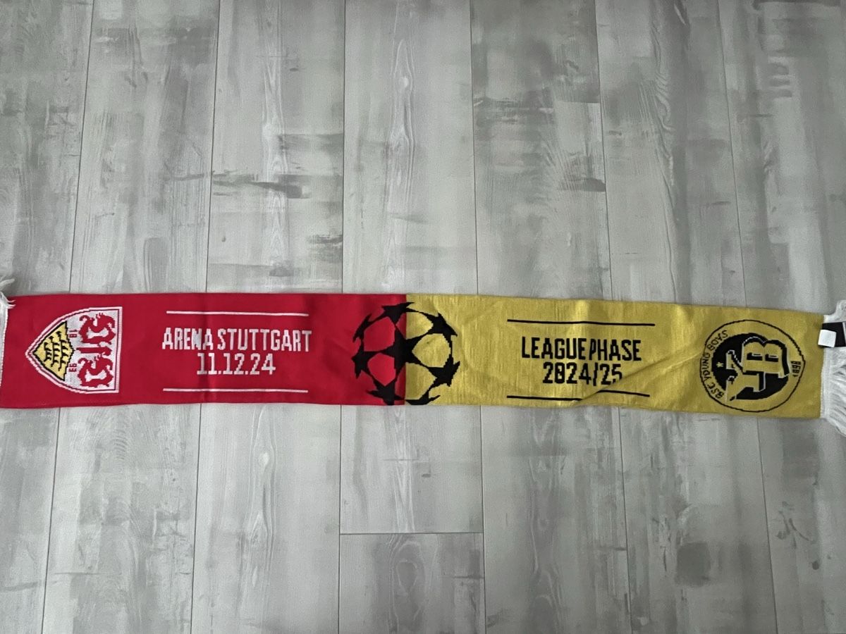 Foulard & Sciarpe: CL Spieltagsschal YB – Usato da Deitingen venduto da Raffi1298