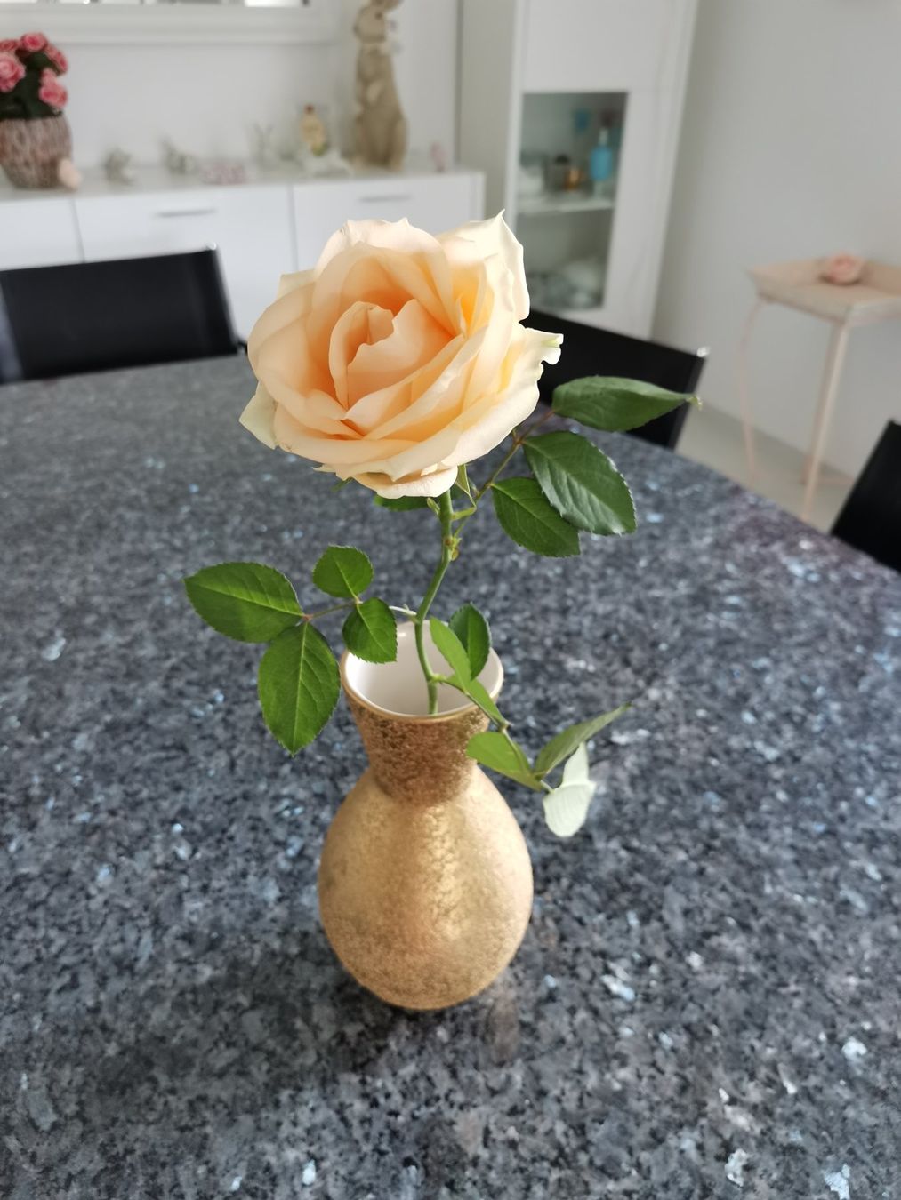 Vasi & Recipienti: Vase Gold – Usato da Biel/Bienne venduto da No62