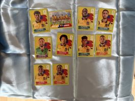 Ecuador Panini WM 2026 