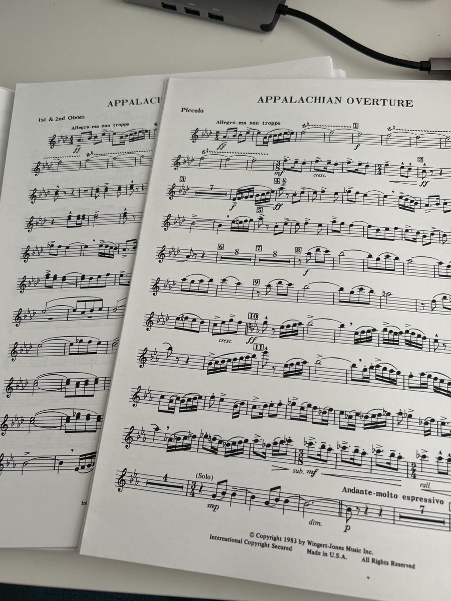 Libri: Harmonie Noten: Appalachian Overture – Nuovo (secondo la descrizione) da Galgenen venduto da Red27 3