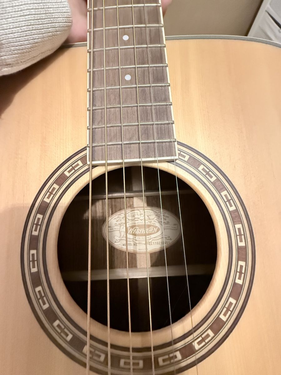 Washburn Strumenti musicali: Gitarre  Washburn – Nuovo (secondo la descrizione) da Rudolfingen venduto da Chris238 2