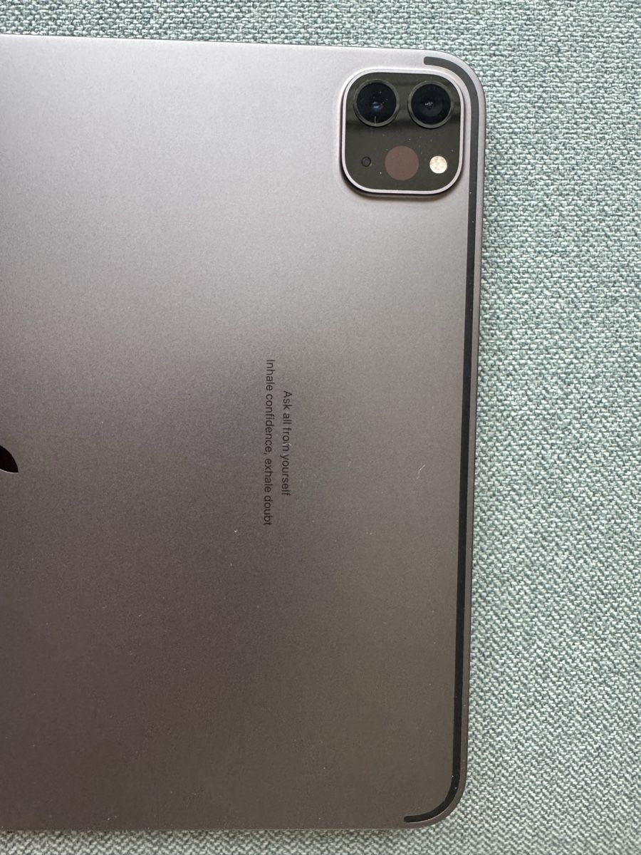 Apple Tablet PC: iPad Pro 11-inch 2nd Generation Wi-Fi – Usato da Dübendorf venduto da Todesnachti 6