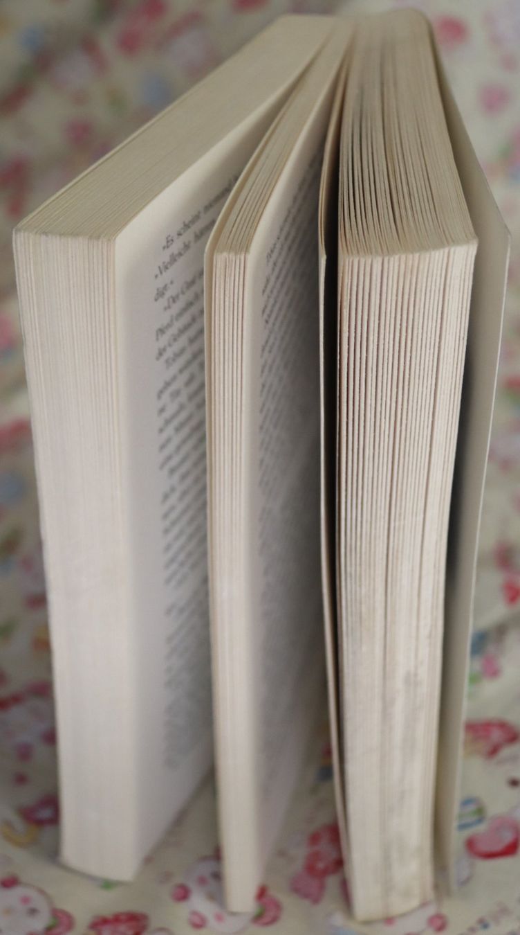 Libri: Der Inquisitor von Wolfgang Hohlbein – Usato da Glattfelden venduto da Vrenely 3