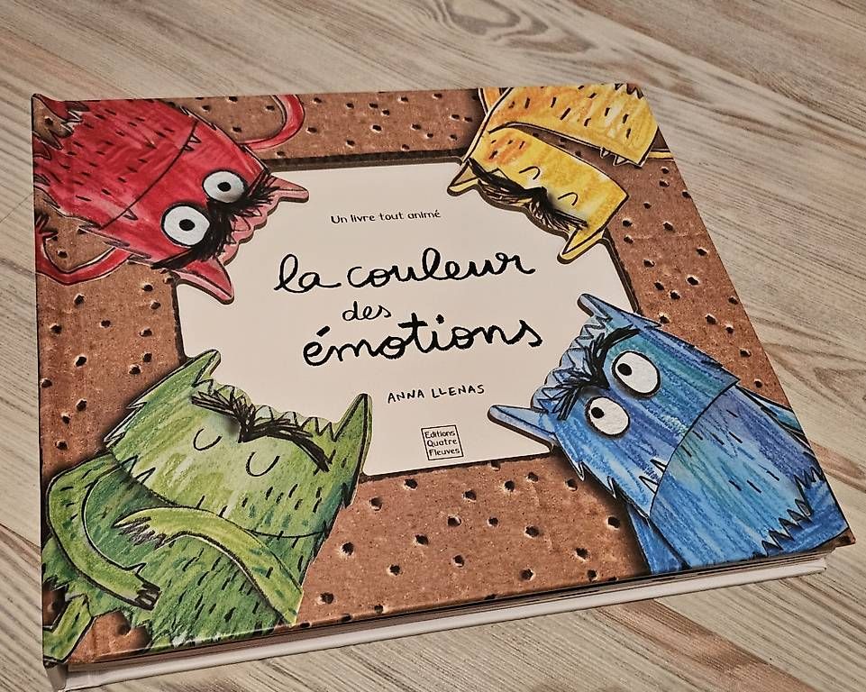 Libri: Livre couleurs des émotions – Usato da Fully venduto da cvivi75