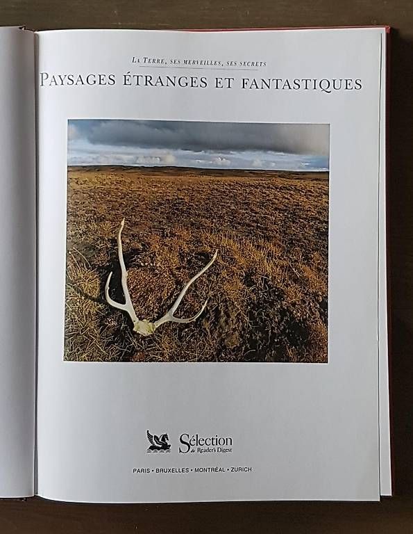 Libri: 10.- pour 3 beaux livres neufs – Usato da Genève venduto da Flo500 4