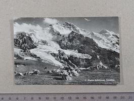 Kleine Scheidegg, Jungfrau, 1966