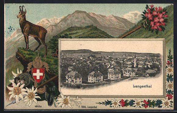 Cartoline postali: Passepartout-Lithographie Langenthal, To – Usato da Berlin venduto da bartko-reher