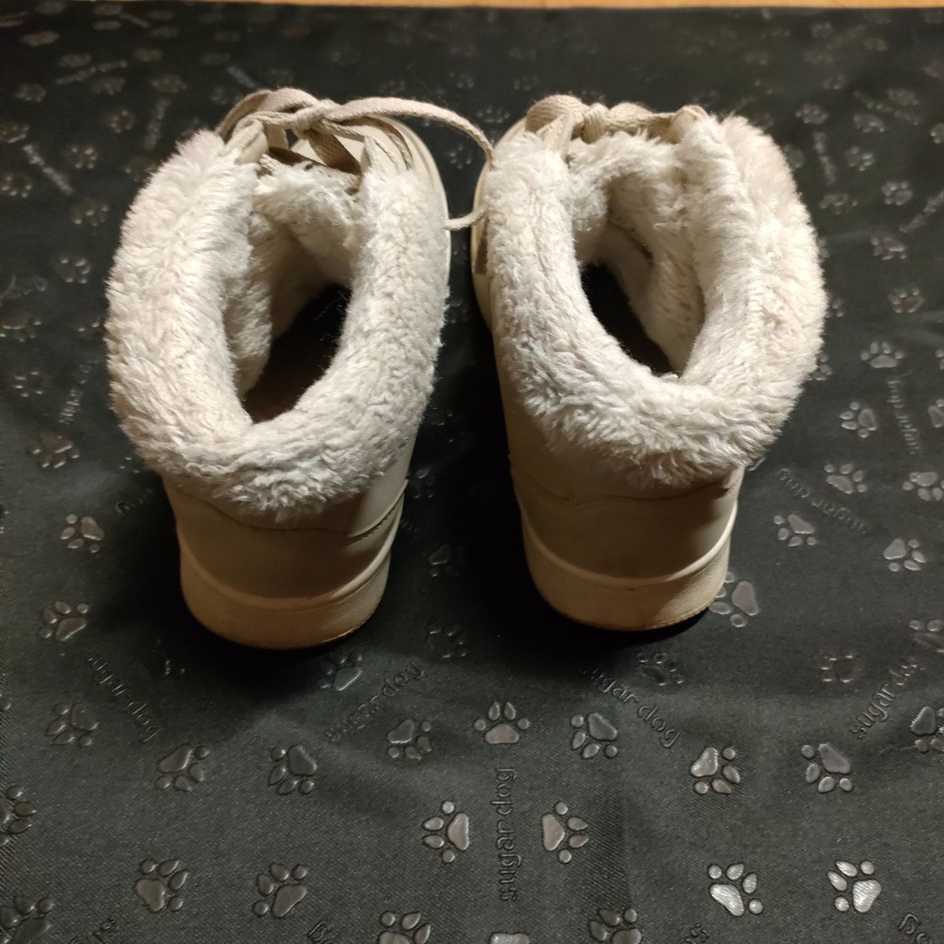Scarpe da donna: Schuhe Gr.38 Lejon – Usato da Adelboden venduto da Lammhult 1