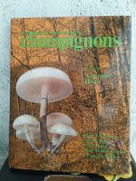 Les quatre saisons des champignons 