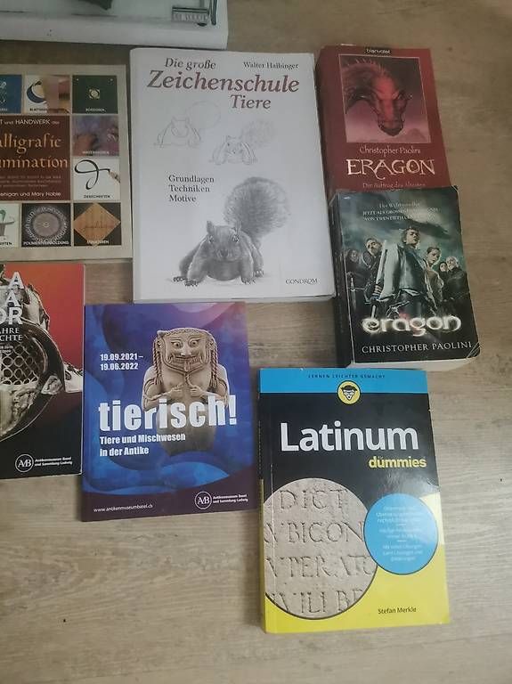 Libri: Diverse Bücher – Usato da Laufen venduto da Daraja 1