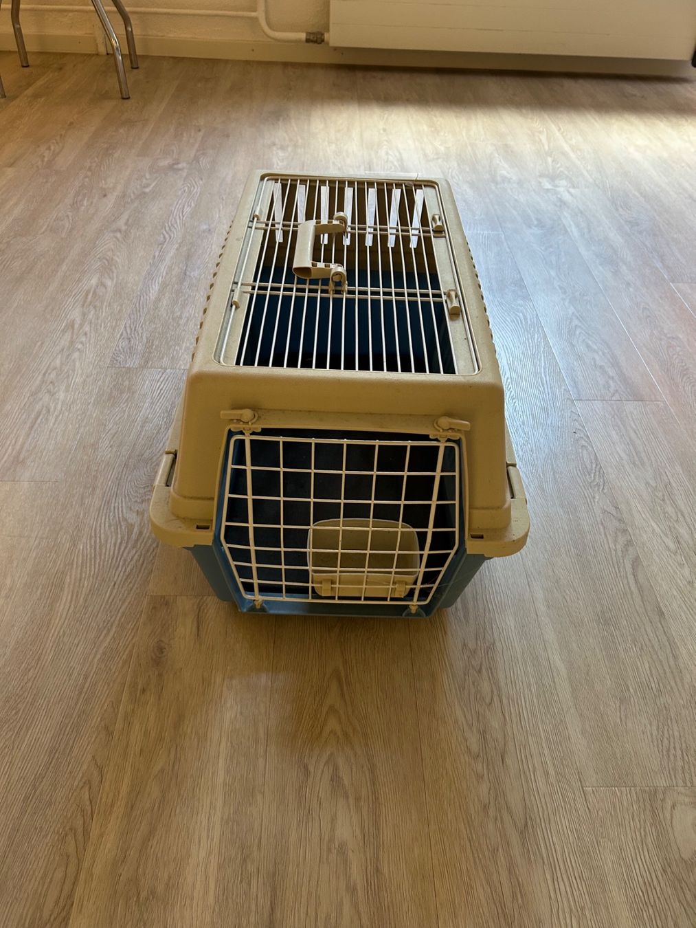 Käfige, Transport & Sicherheit: Hundetransportbox – Gebraucht aus Schwerzenbach von Herbstzauber 1