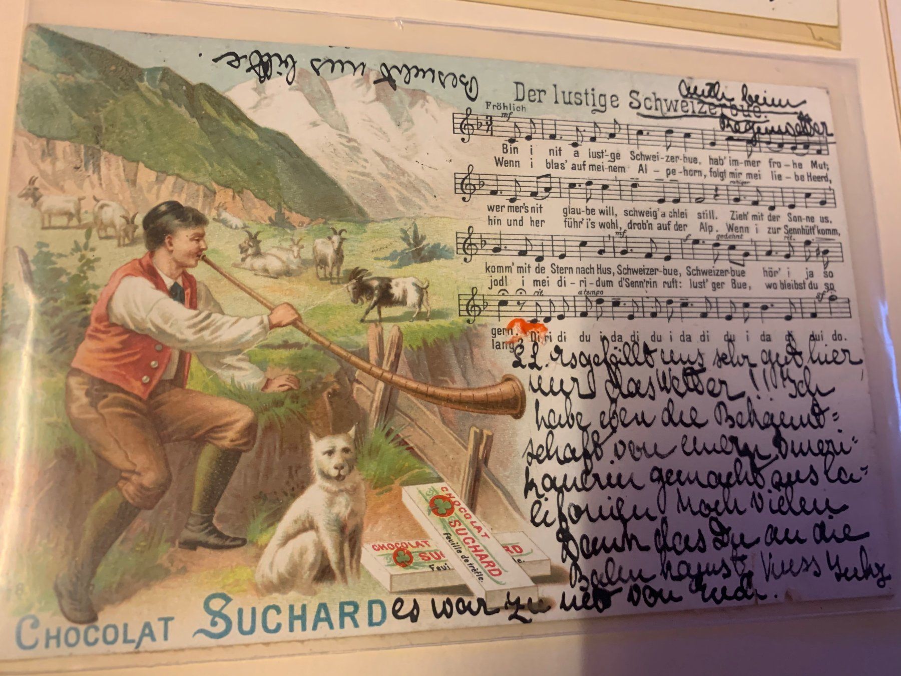 Cartoline postali: 5 AK - CHOCOLAT SUCHARD / 3 AK mit LIEDER-TEXT ! – Usato da Hedingen venduto da Wowi 2