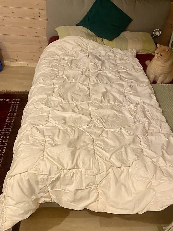 Coperte: Bettdecke 100 % Schurwolle – Usato da Neuhausen venduto da Melkun1113