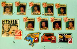 13 Pins Zweifel Chips