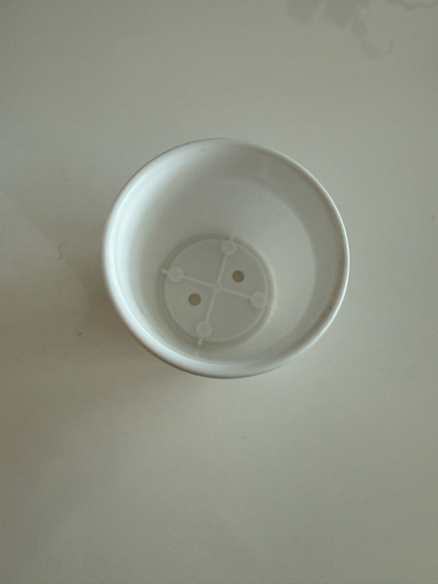 Vasi per fiori: Minitöpfe weiss – Nuovo (secondo la descrizione) da Horgen venduto da smaally 1
