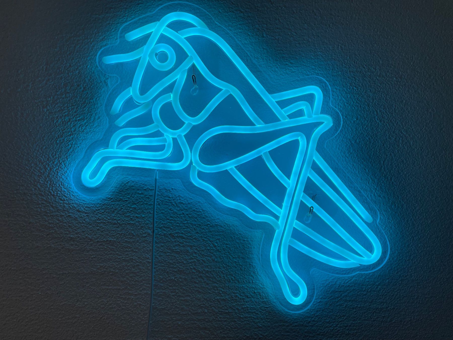 Foto & Immagini: GCZ Neon LED Heugümper – Nuovo e nell'imballaggio originale da Stäfa venduto da hokoatu 4