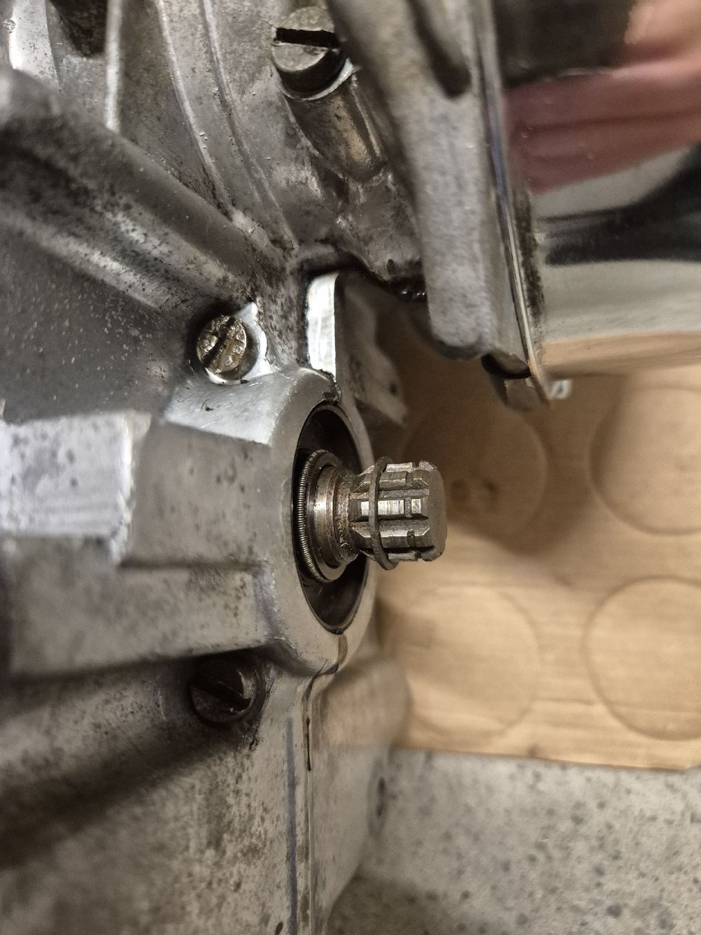Puch Motori: Mofa Puch Maxi Motor – Usato da Neuenkirch venduto da etaner62 5