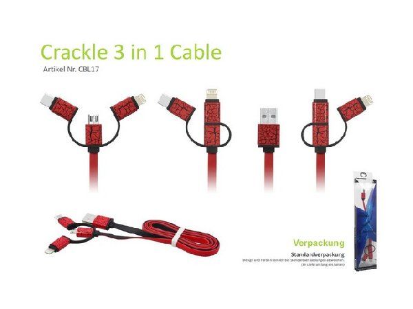 Apple Cavi: Kombi-Highspeedladekabel – Nuovo (secondo la descrizione) da Regensdorf venduto da DiniChance 2