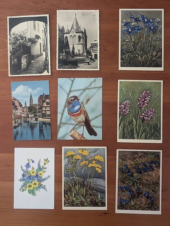 Cartoline postali: Alte Postkarten (Nr3) 2 Fr pro Stück  – Usato da Neftenbach venduto da Nadine069 1