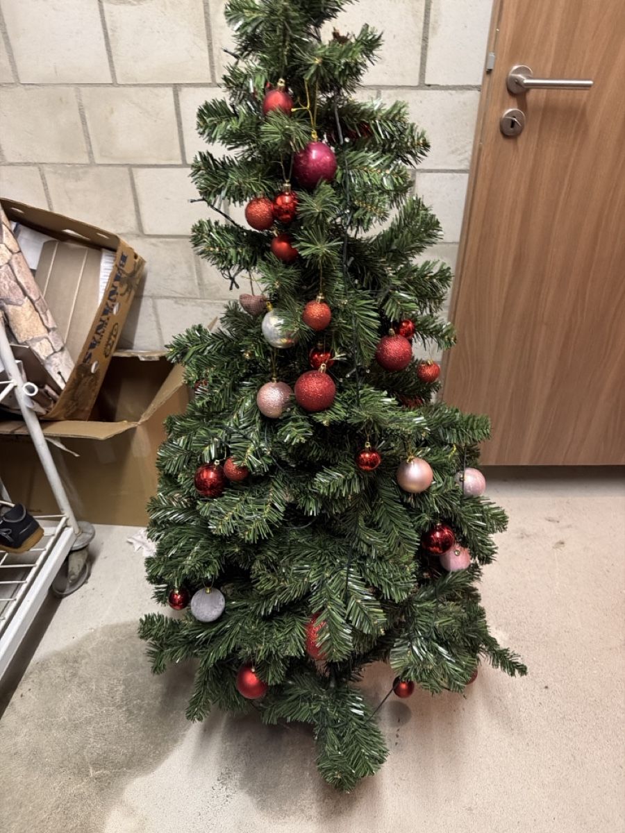 Tutte le decorazioni: Tannenbaum mit schmuck und Lichterketten  – Nuovo (secondo la descrizione) da Seltisberg venduto da sor_dt72