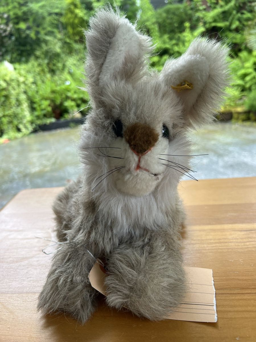 Steiff Giocattoli: Steiff Teddy Hase – Usato da Pfeffingen venduto da Jbieli 1