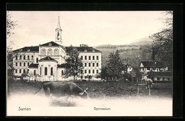 Sarnen, Gymnasium mit weidenden Kühen