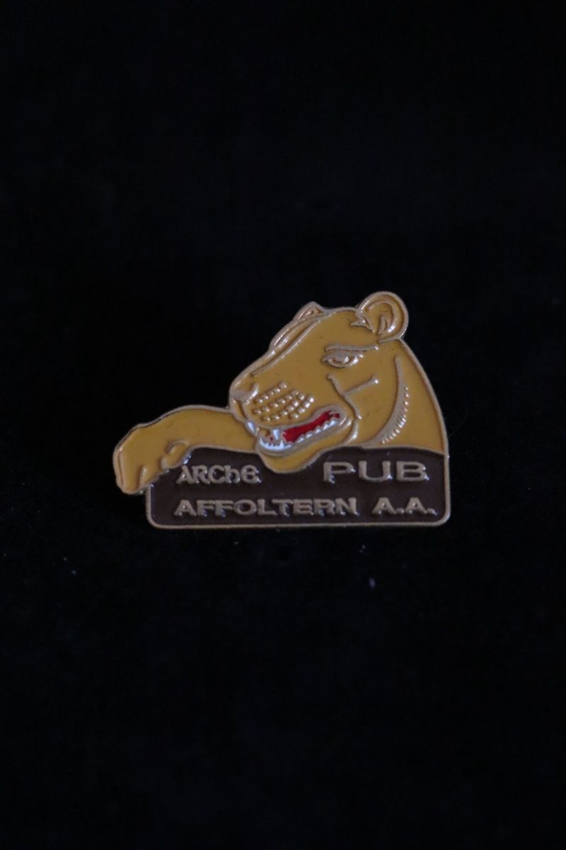 Placchette & Badge: Arche Affoltern am Albis PIN‘s – Usato da Ottenbach venduto da siiinnaa_77 2