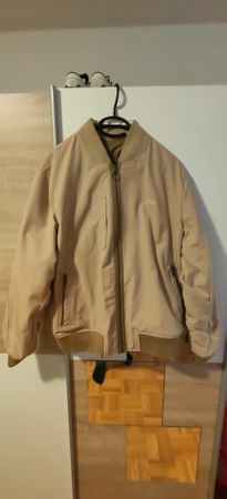 veste Lacoste