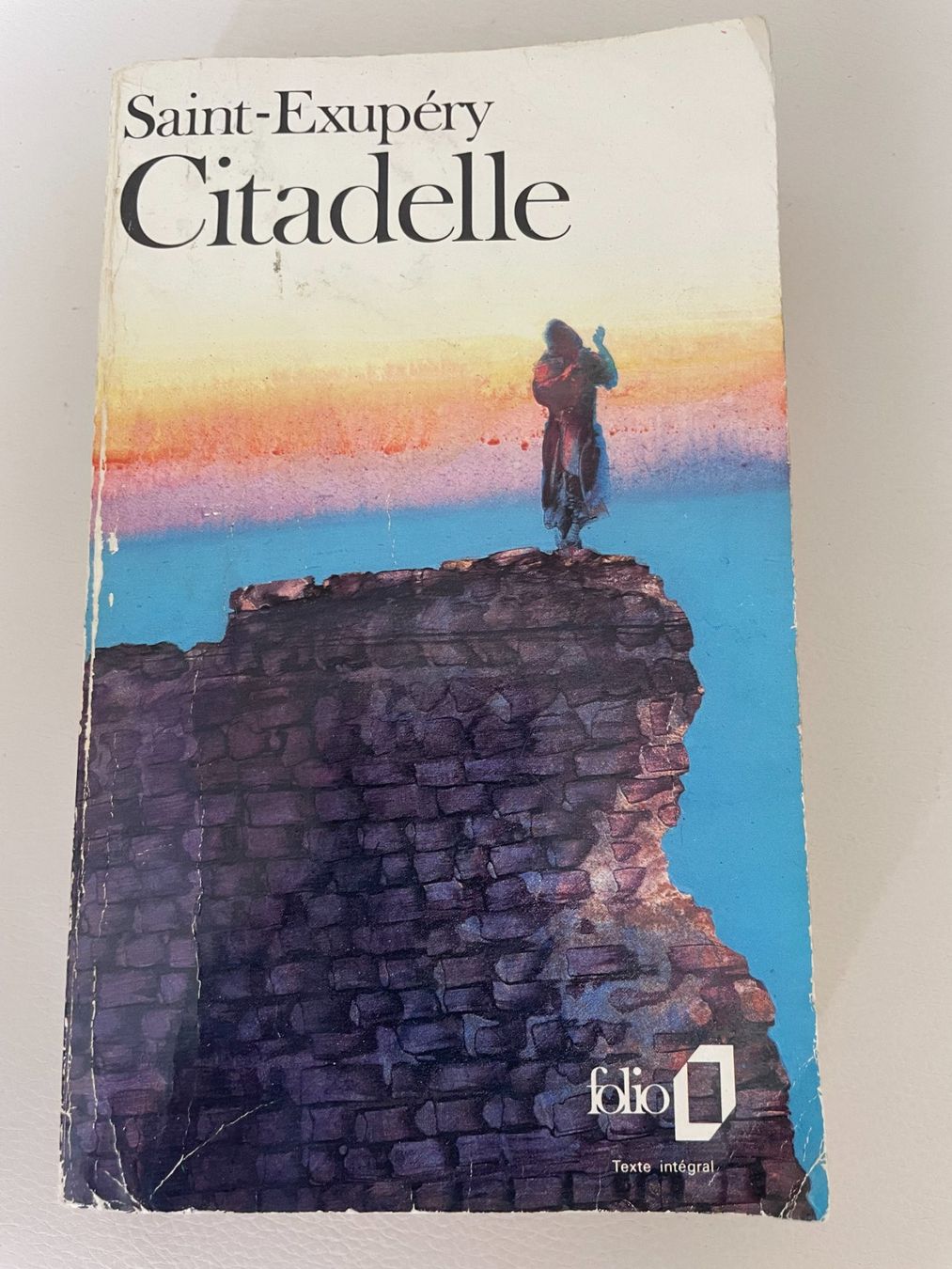 Libri: Saint-Exupéry - Citadelle – Usato da Petit Lancy venduto da gil_hr6v