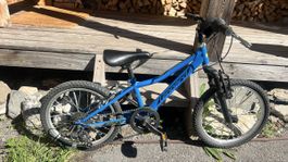 Kinder-Mountainbike Leopard Dragon Cat 18 Zoll blau