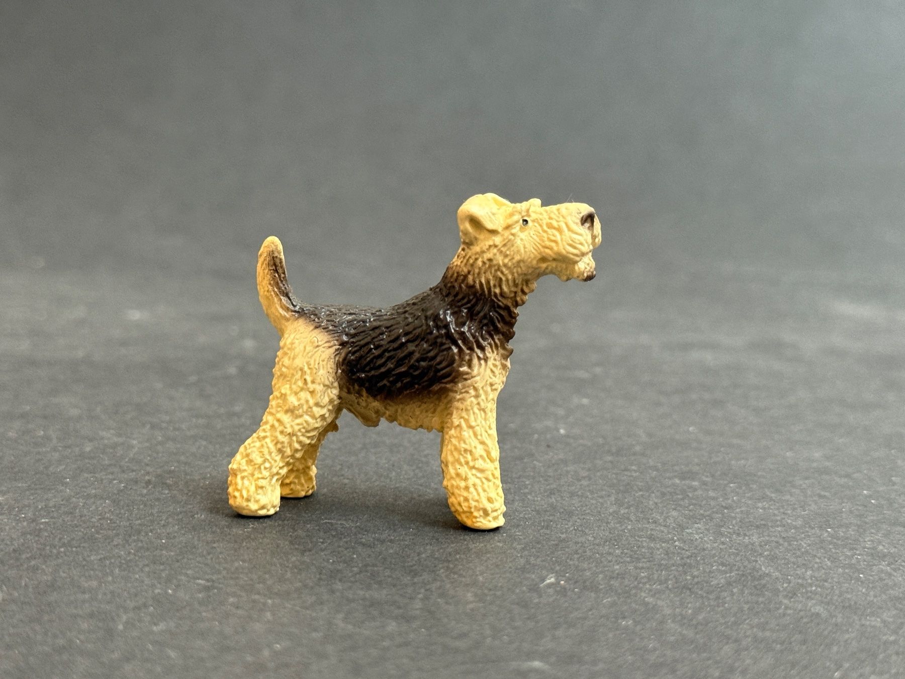 Schleich Statuette: Schleich 16338 Foxterrier Hund Terrier – Usato da Ennetbaden venduto da mapa05 1
