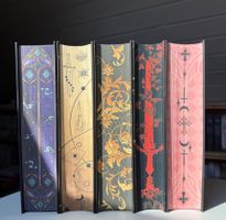Bücher-Set Fantasy Romane (neuwertig!)