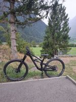 Torque CF 7 2023