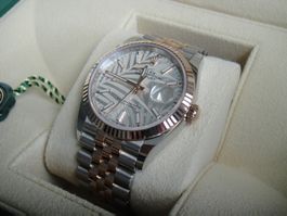 Rolex / Datejust 36 Palm Motif Dial / Fabrikneu