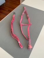 Ensemble harnais et laisse réfléchissants en nylon