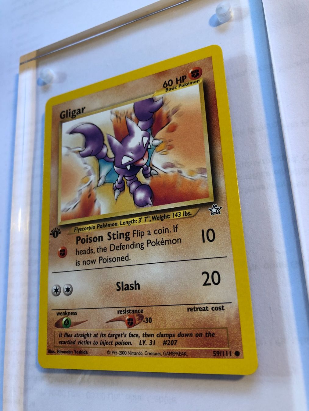 Carte collezionabili: Gligar 1st Neo Genesis - MINT - ab 1.- – Usato da Giubiasco venduto da dan_pr8b 2